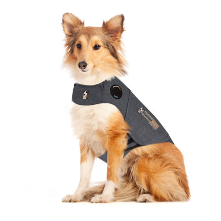 ThunderShirt Dog Thunderstorm Jacket & Anxiety Aid