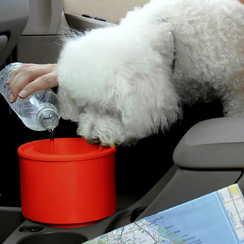 Car dog deals bowl