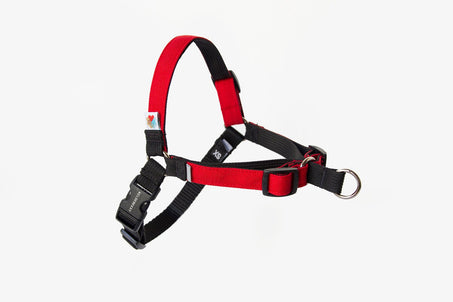 Wildebeest No Pull Harness Red