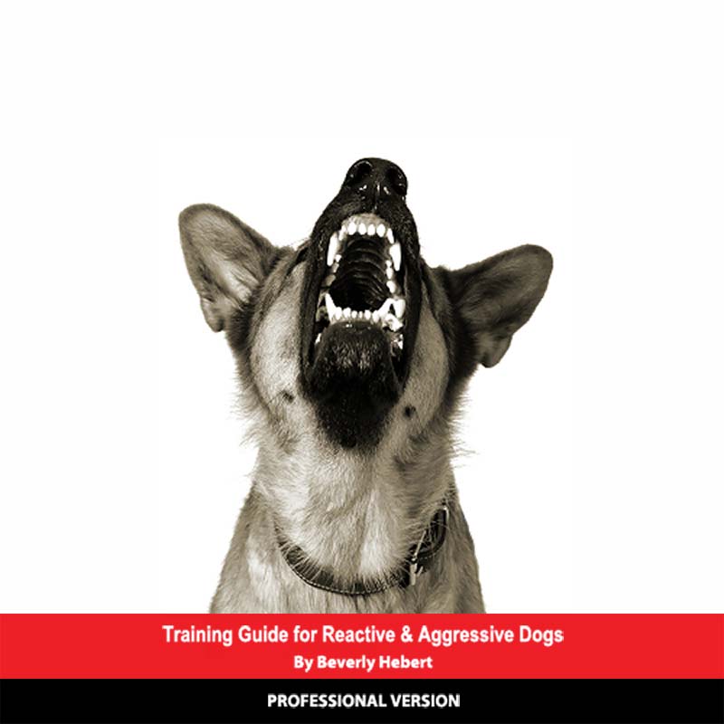 Other Dogs Fear Aggression Dog Training Near Me Training Guide