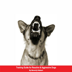 Training Guide for Reactive & Aggressive Dogs E-Book
