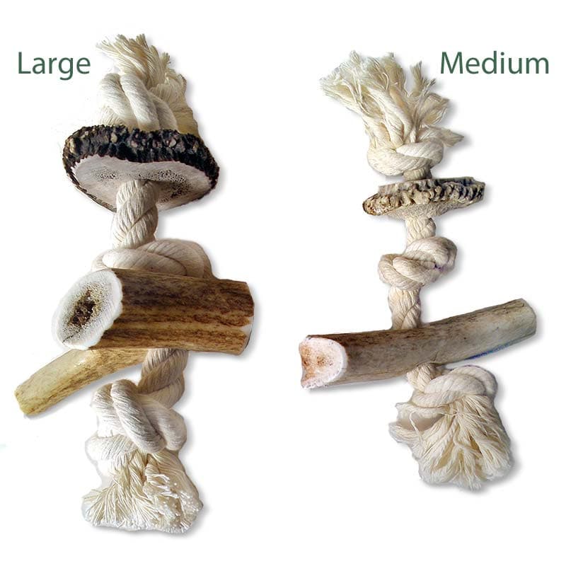 Dog Bones 15 Canadian Antler Dog Chew Tines Tips 4-5 Inches Long