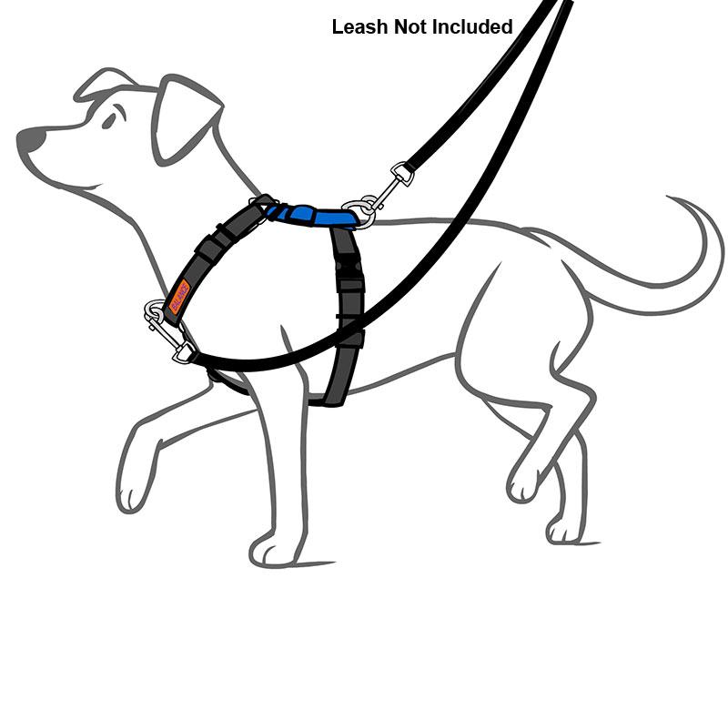 Balance No-Pull Harness: 6-Way Adjustable & Non-Restrictive. Special Order