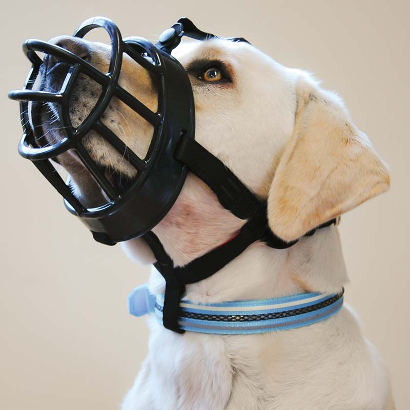 Baskerville Ultra Dog Muzzle Flexible Comfortable Basket Muzzle Pet baskerville-ultra-dog-muzzle-flexible-comfortable-basket-muzzle-pet