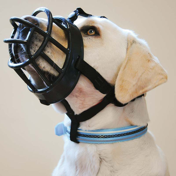 Baskerville Ultra Dog Muzzle, Comfortable Basket Muzzle