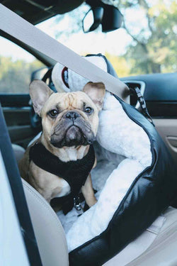 PupSaver Compatible Car Seat Harness - For Use With PupSaver Seats - Solid Black