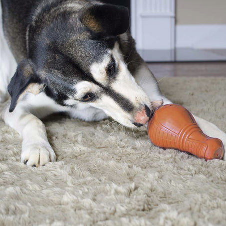 Dog playing with booya toy