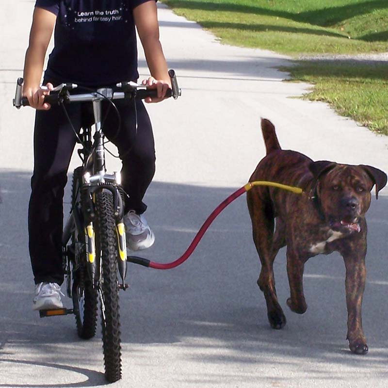 Product Review: Bike Tow Leash