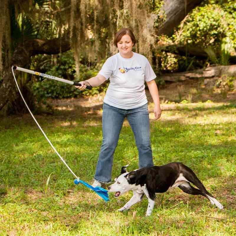 Flirt Pole, Dog Chase Exercise Toy from Squishy Face Studio – Pet Expertise