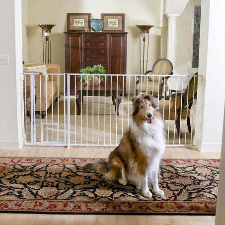 Maxi Dog Gate from Carlson