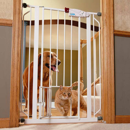 Extra Tall Dog Gate from Carlson