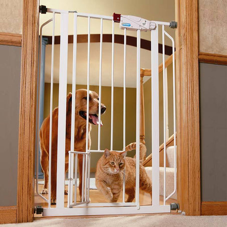 Extra Tall Pet Gate from Carlson Pet Products – Pet Expertise