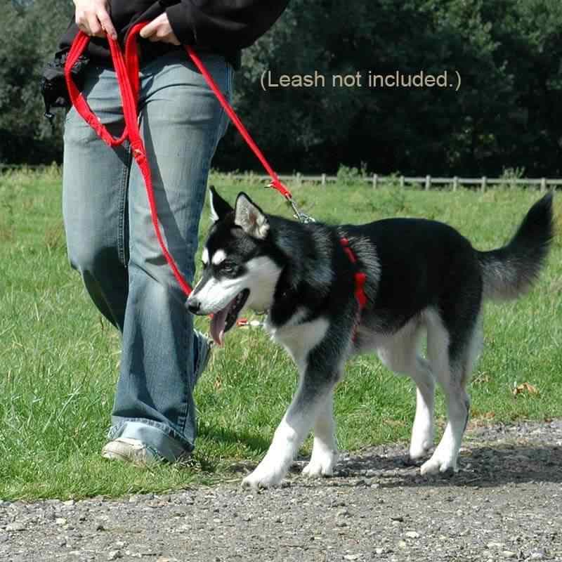 Amazon Halti No Pull Dog Harness Reviews Halti Harness No Pull