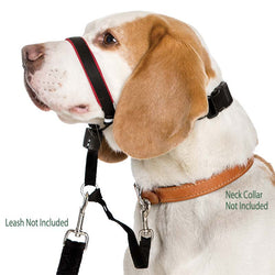 HALTI Optifit Head Collar for Dogs - Stops Pulling on the Leash!