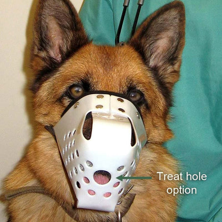 JAFCO Muzzle with treat hole on German Shepherd
