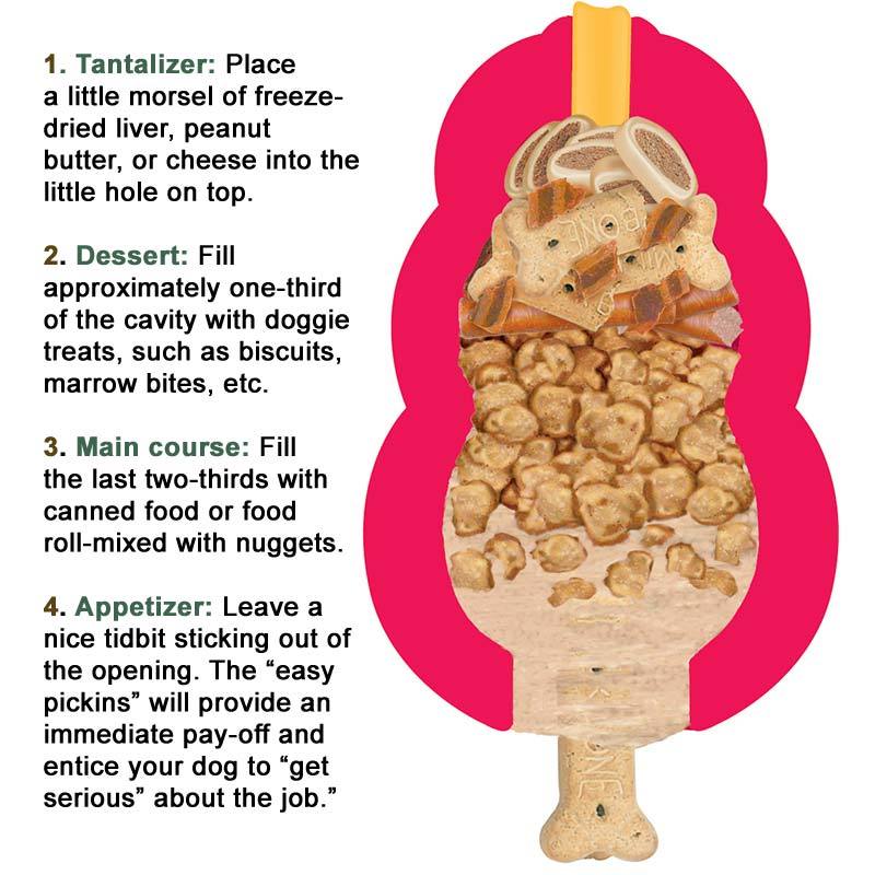 what to put in kong toy for puppy - Main Image