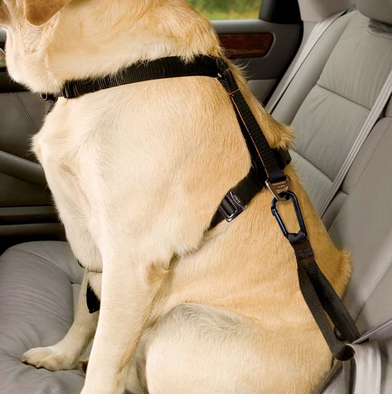 Kurgo Tru-Fit Enhanced Strength Car Harness for Dogs. Bonus No