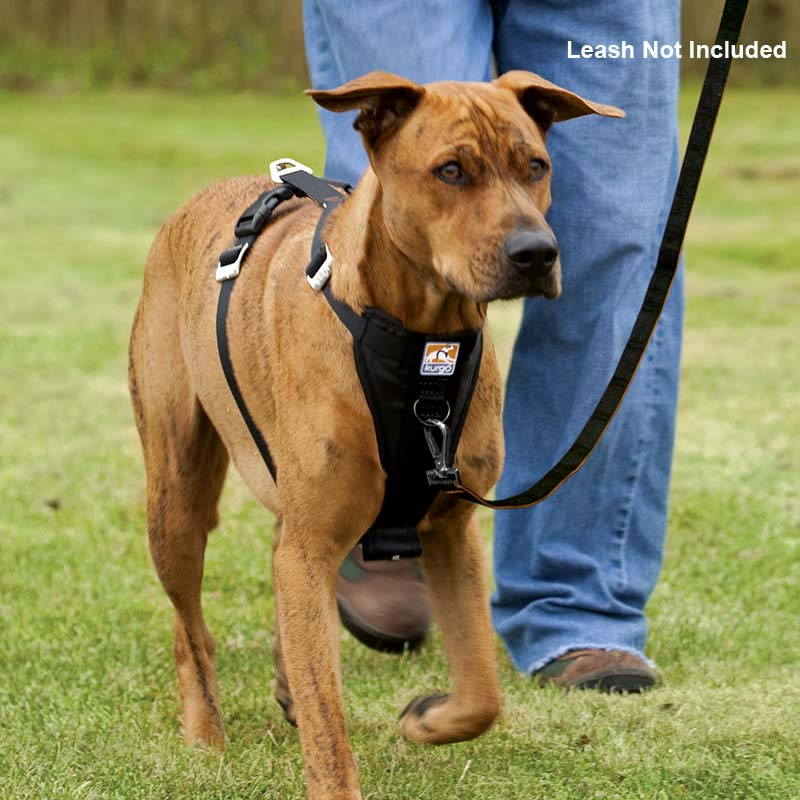 Kurgo Tru-Fit Enhanced Strength Car Harness for Bonus No