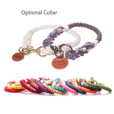 Mootsy Handmade Ombre Rope Dog Leash with Optional Collar