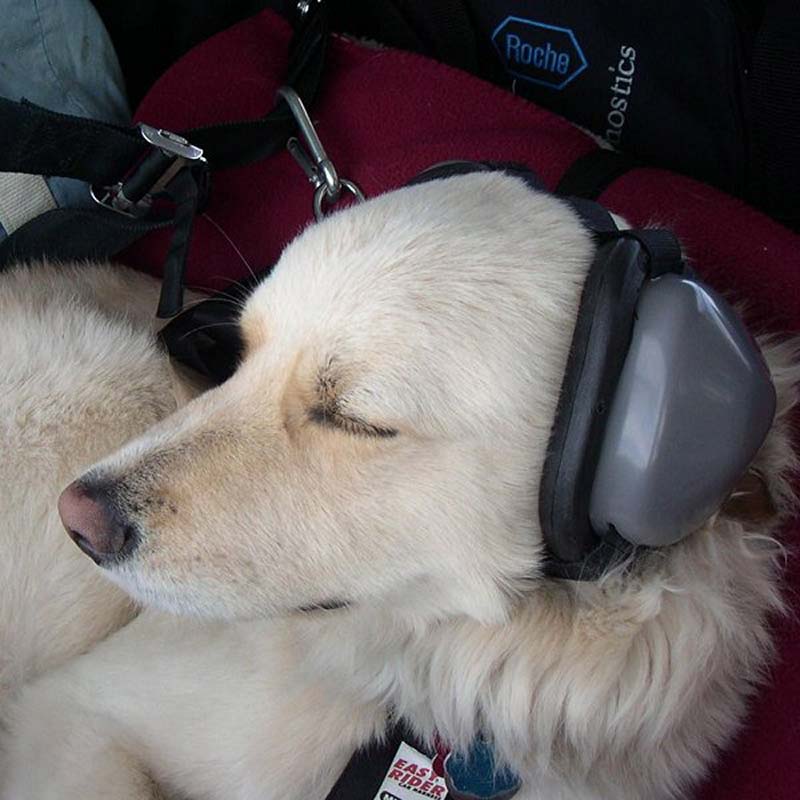 Mutt Muffs Hearing Protection for Dogs - Main Image