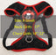 Car Safety HARNESS Size X-Small