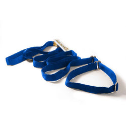 Limited-Slip Dog Leash & Collar Combination