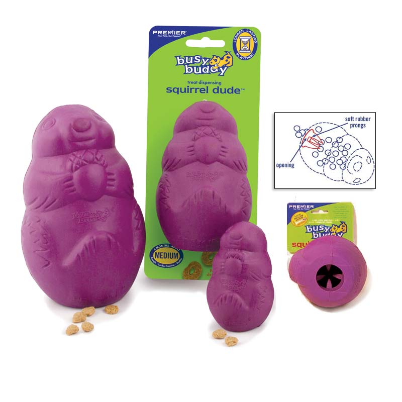 https://petexpertise.com/cdn/shop/products/squirrel-dude-dog-toy.jpg?v=1612021348
