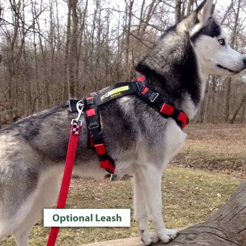 Custom Dog Harness | Personalized Harnesses For Dogs – Pet Expertise