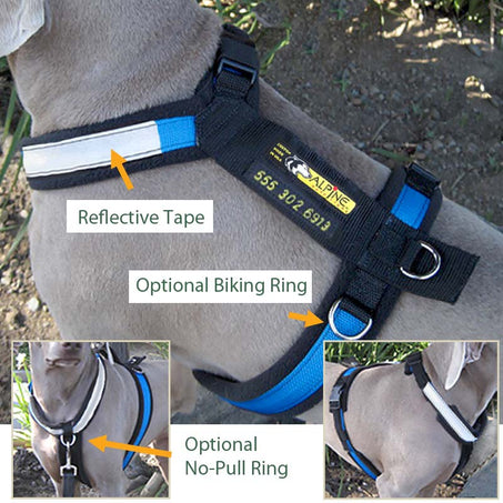 Alpine Outfitters Urban Trail Dog Harness